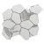 toasi1416ca_1t